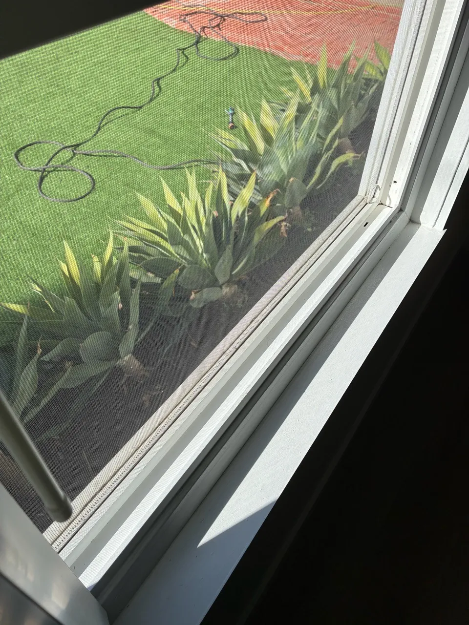 Window and sill overlooking a sunlit garden